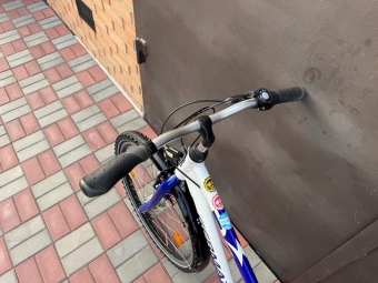 Велосипед GERMATEC 1.0 (778333)