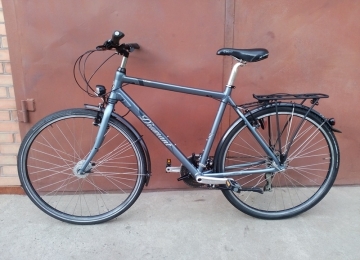 Велосипед DIAMANT Ubari SCHWALBE