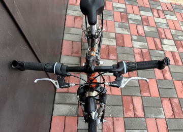 Велосипед KTM Wild One (778684)